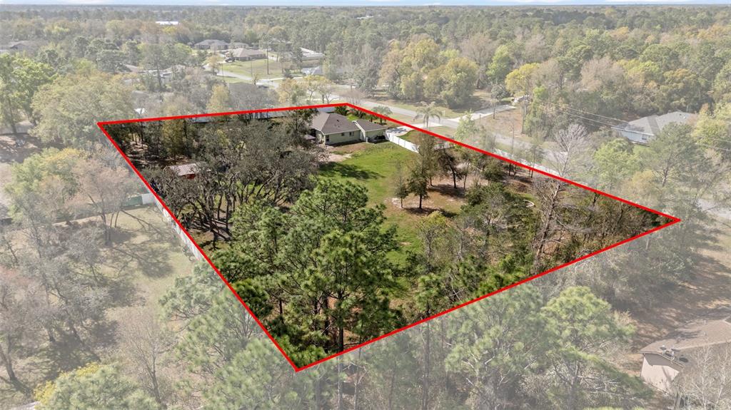 1378 Matthew Avenue Spring Hill, FL 34609 - Photo 54 of 56