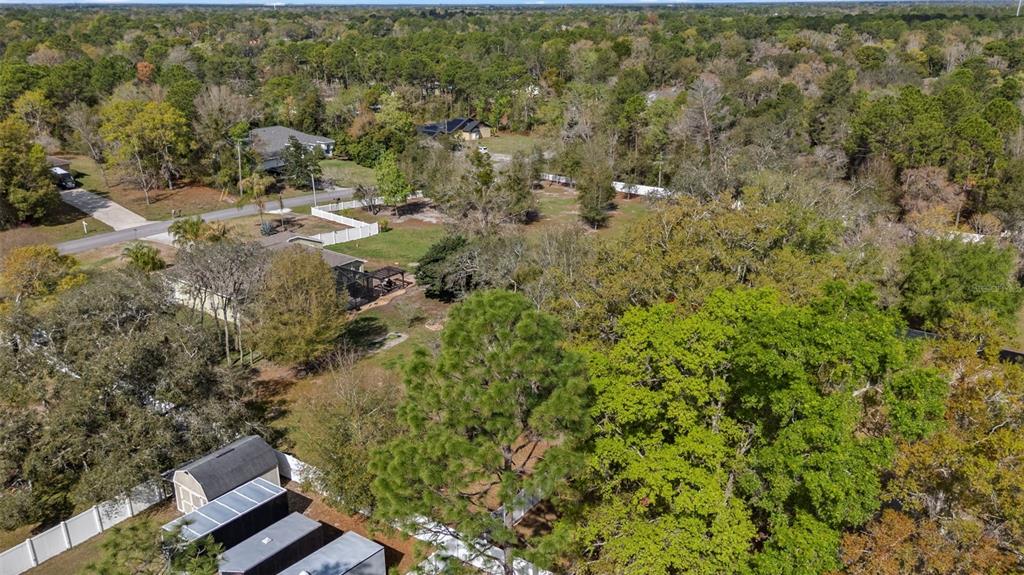 1378 Matthew Avenue Spring Hill, FL 34609 - Photo 55 of 56 a view of a yard with plants and large trees
