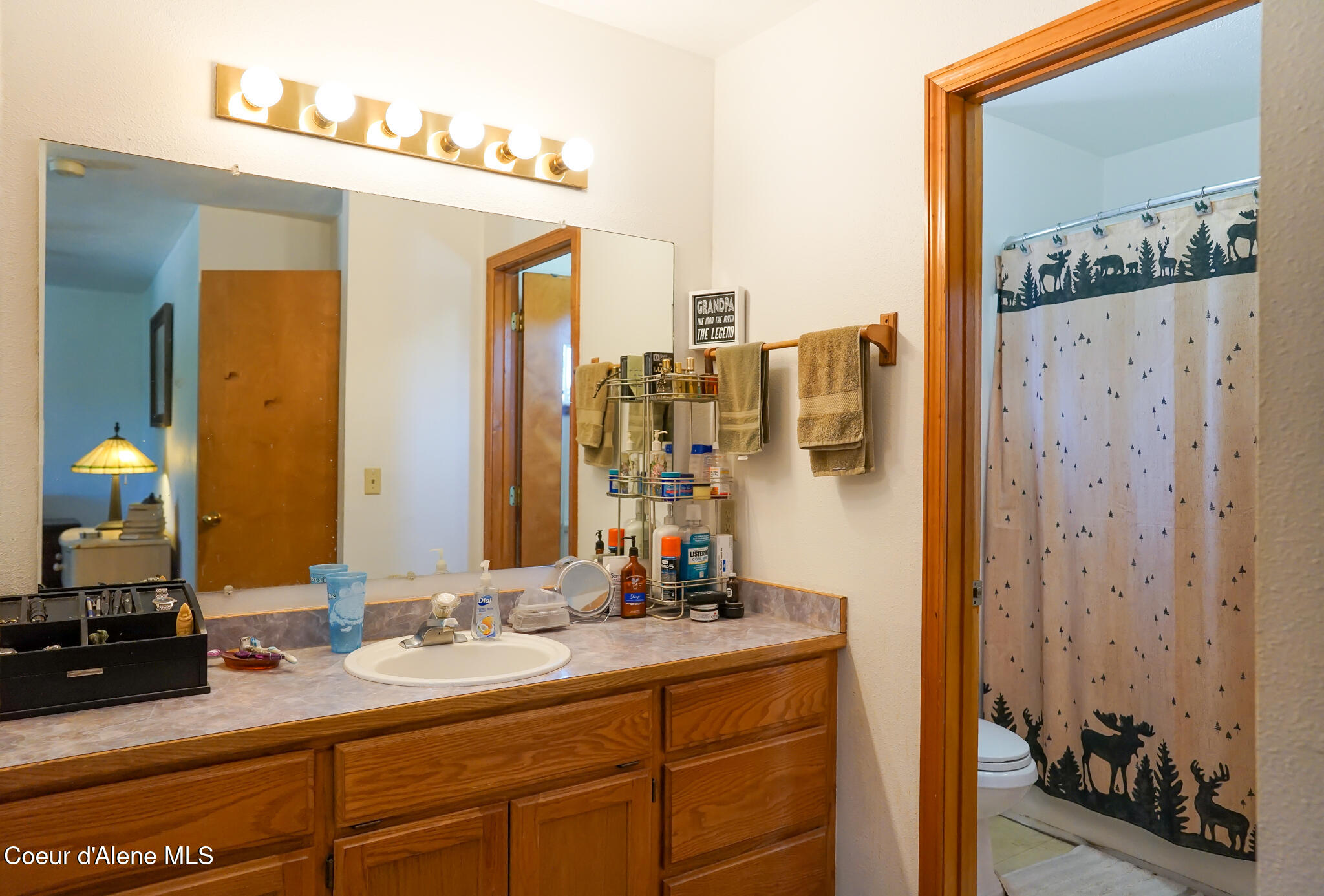 623 Maple Place Hayden, ID 83835 - Photo 21 of 36 DSC07639