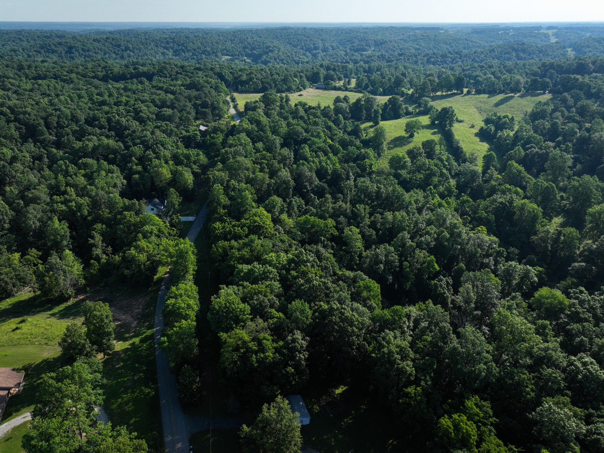 8 Shiloh Canaan Road Palmyra, TN 37142 - Photo 8 of 8 an aerial view of a forest with houses