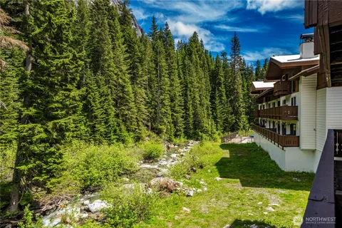 a view of a yard with large trees