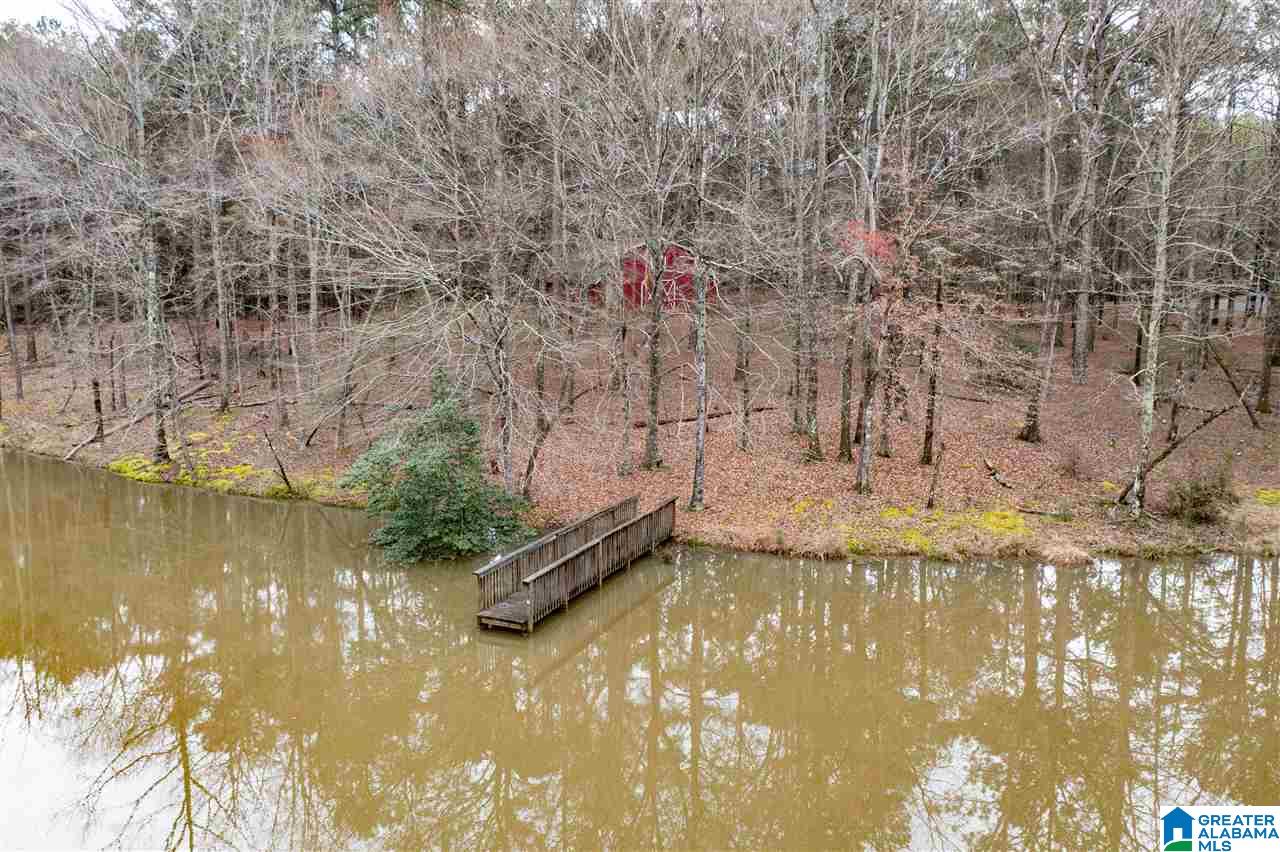6150 Chelsea Road Columbiana, AL 35051 - Photo 46 of 50