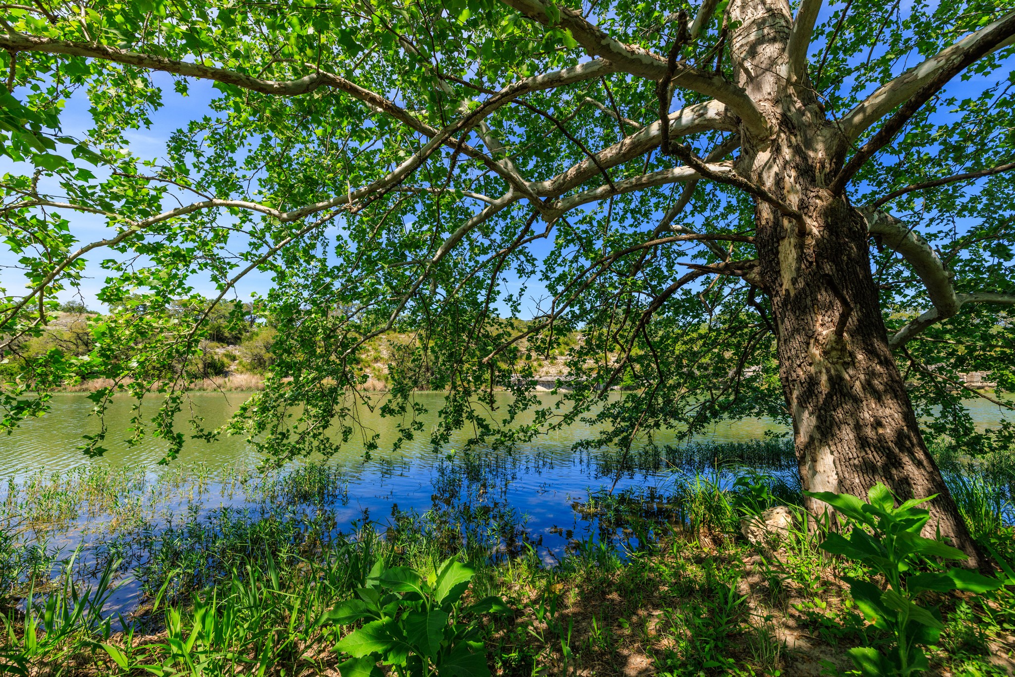 Lot 2 Byrd Ranch Road Johnson City, TX 78636 - Photo 11 of 40 Water view