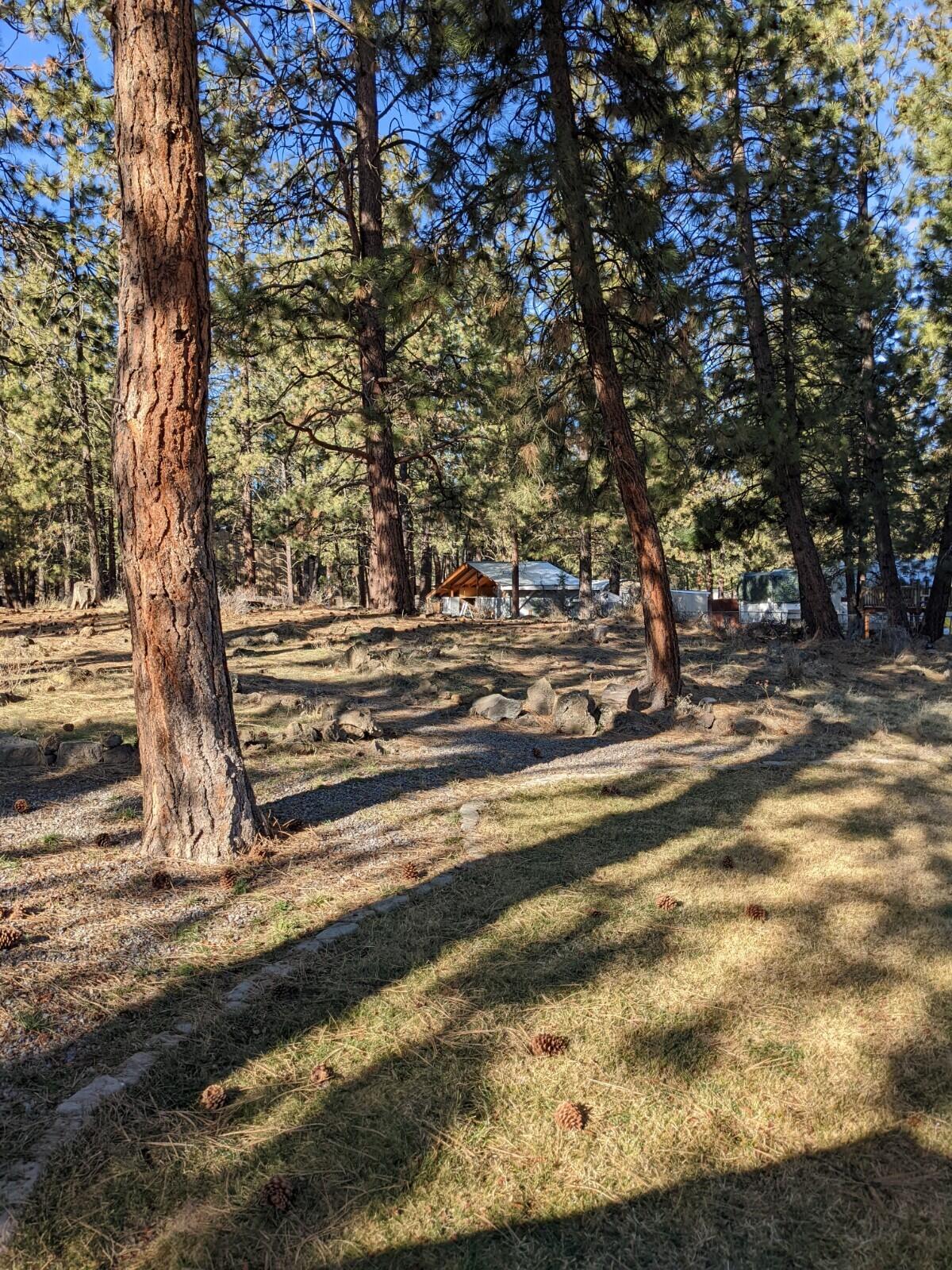 59971 Hopi Road Bend, OR 97702 - Photo 7 of 23 PXL_20220212_180930603