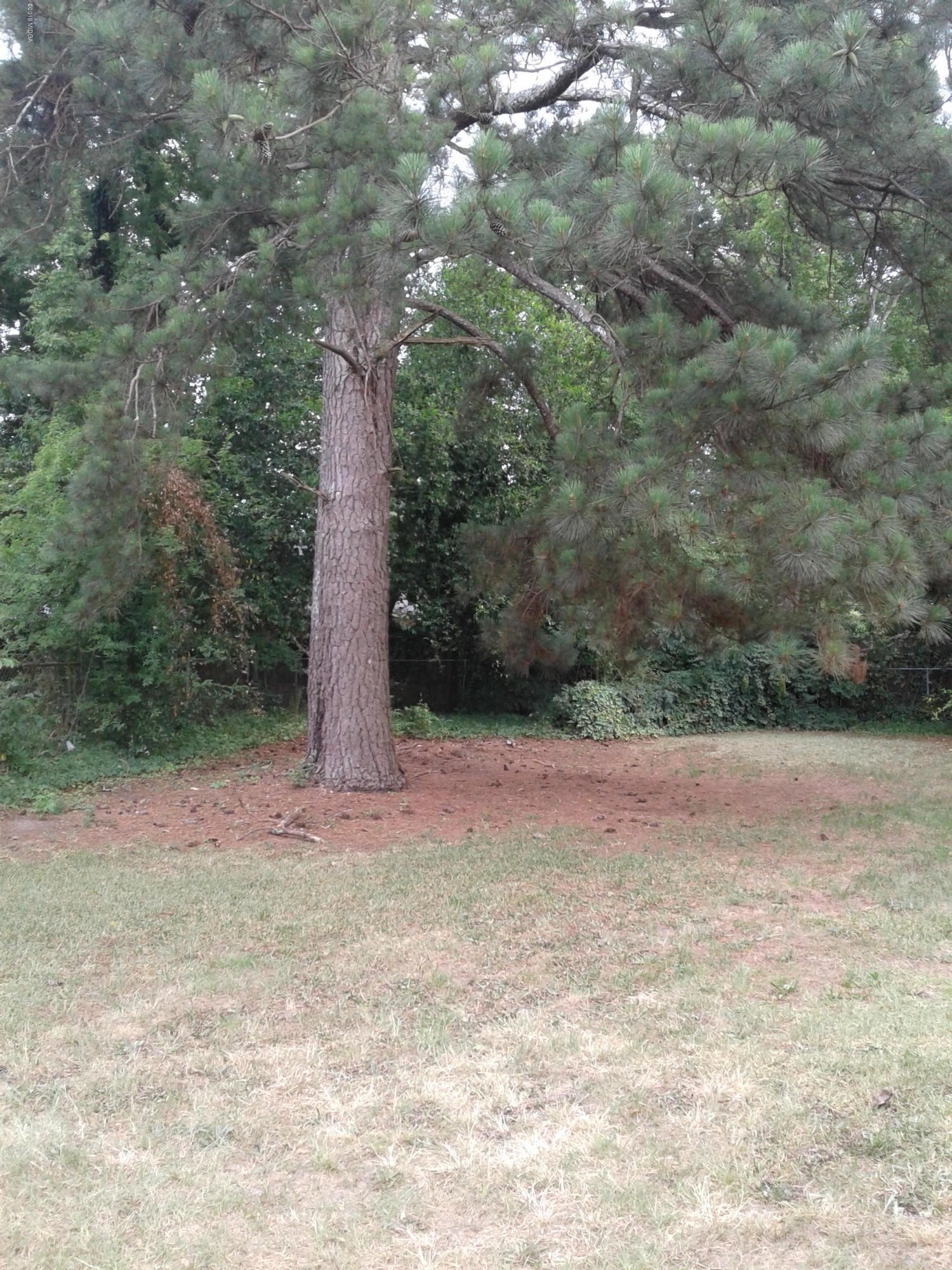 1486 Anthony Road Macon, GA 31206 - Photo 14 of 14 1486 Anthony Rd 3