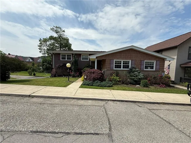 a view of a flower in a yard