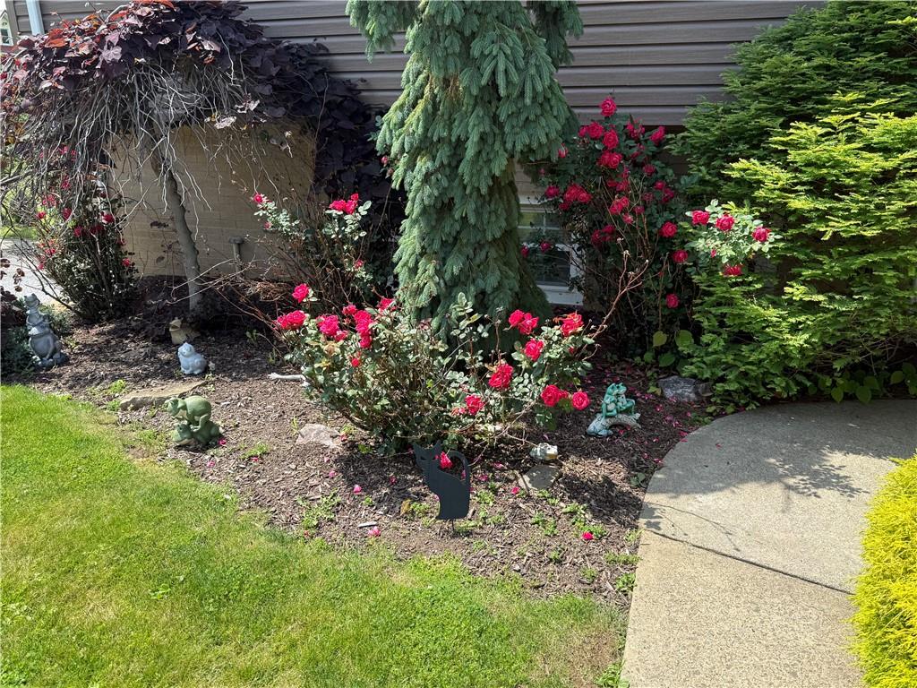 570 Hancock Street Clymer, PA 15728 - Photo 33 of 33 a view of a flower in a yard