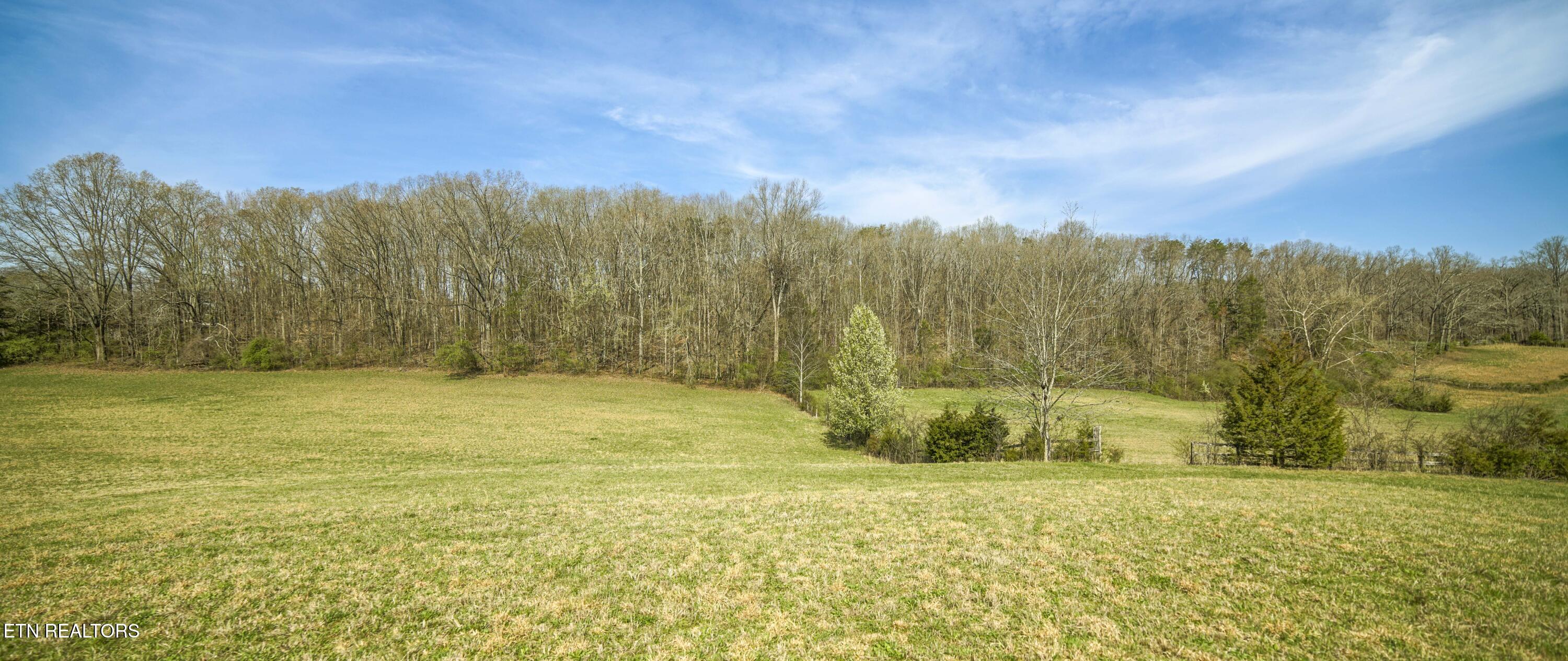 243 Black Oak Road Clinton, TN 37716 - Photo 32 of 49 HeatherFarm6901