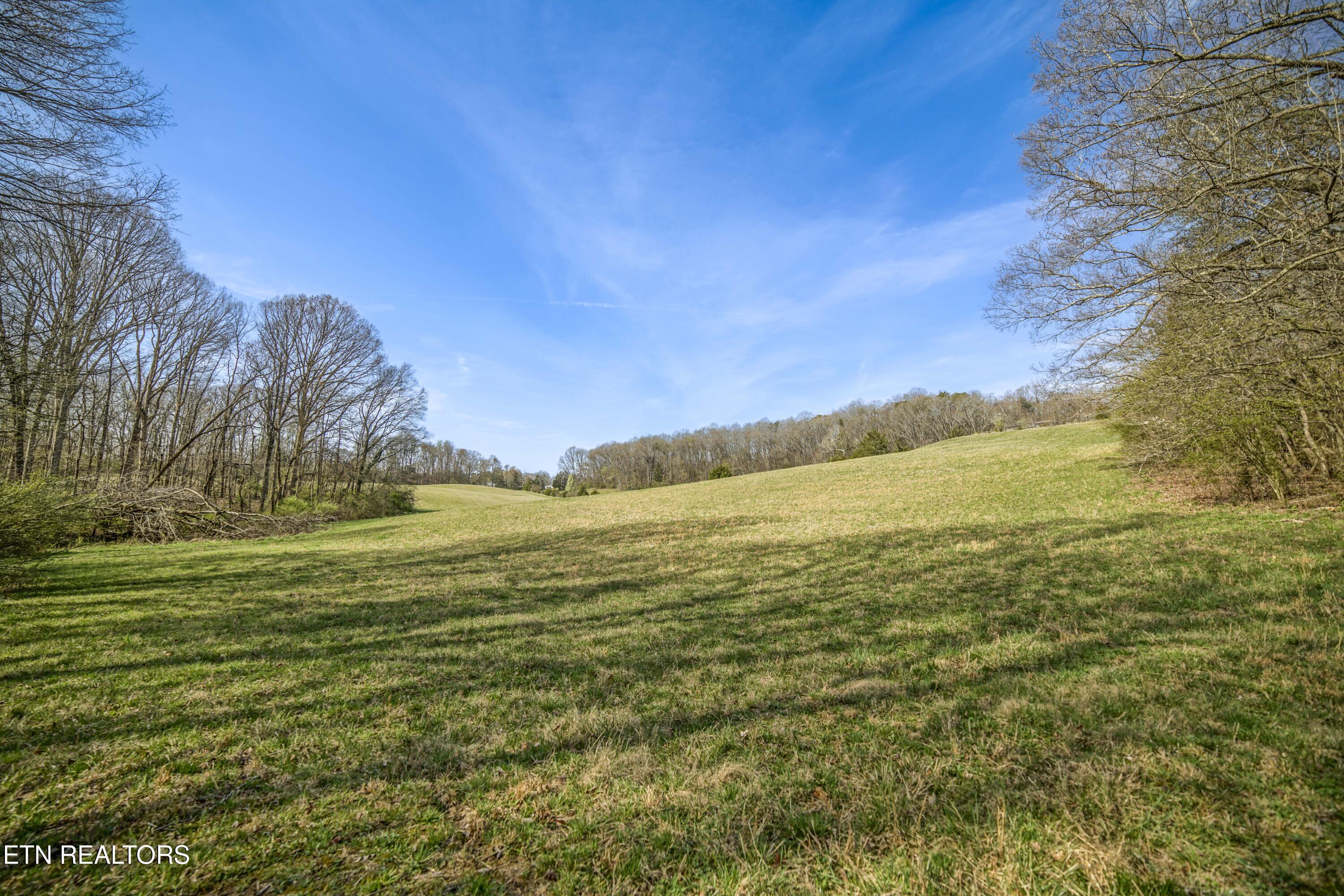 243 Black Oak Road Clinton, TN 37716 - Photo 36 of 49 HeatherFarm6912