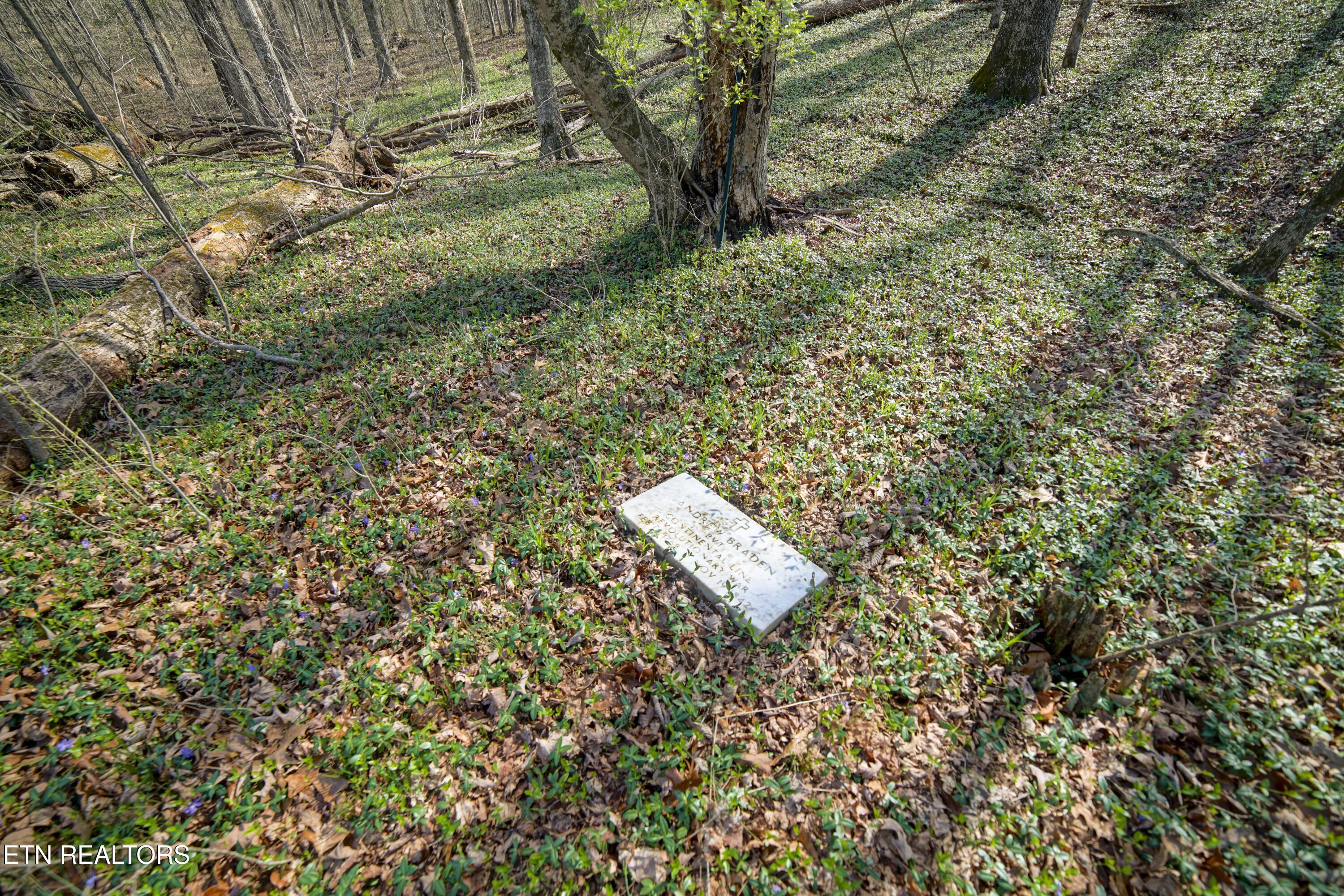 243 Black Oak Road Clinton, TN 37716 - Photo 37 of 49 HeatherFarm6913