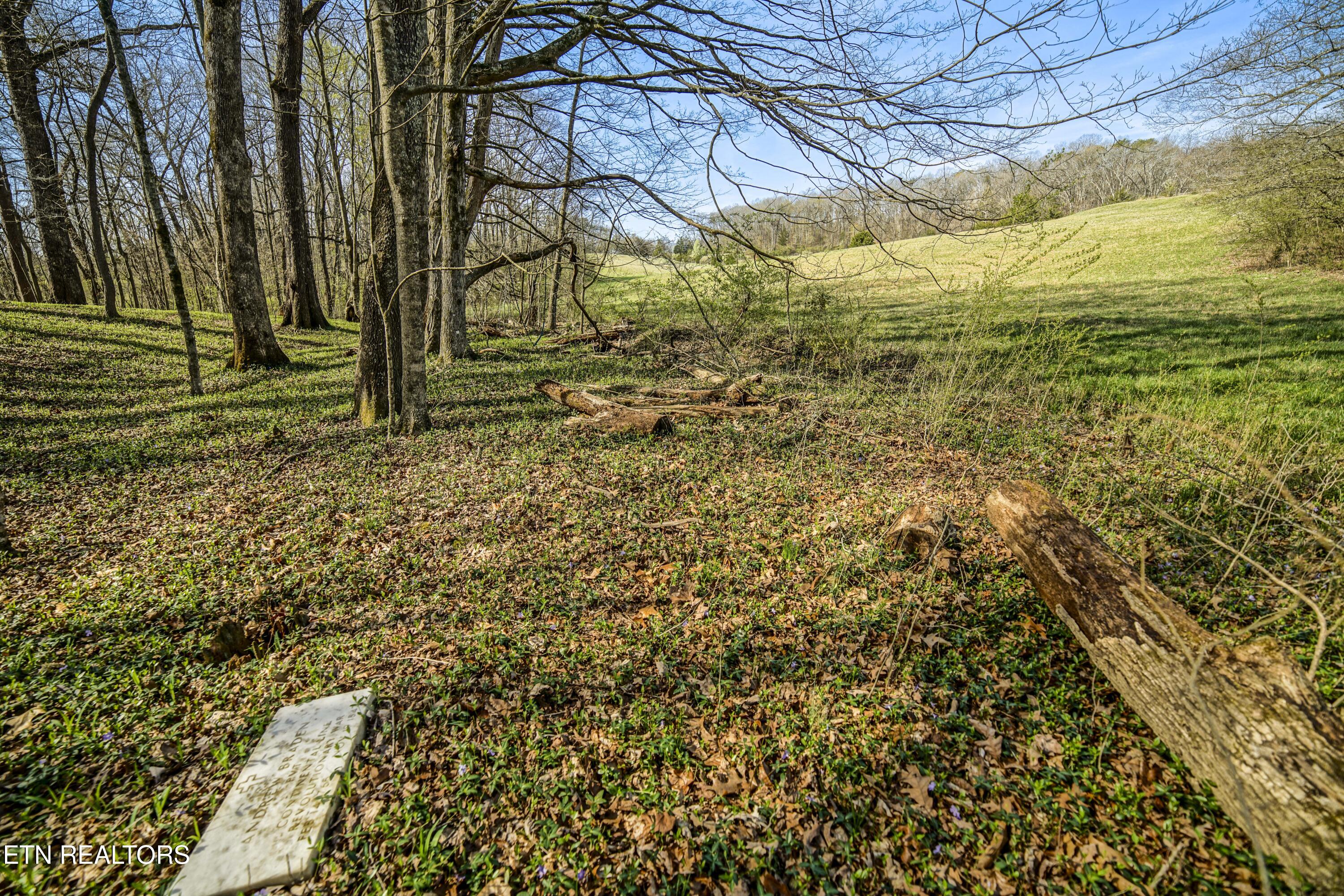 243 Black Oak Road Clinton, TN 37716 - Photo 38 of 49 HeatherFarm6914