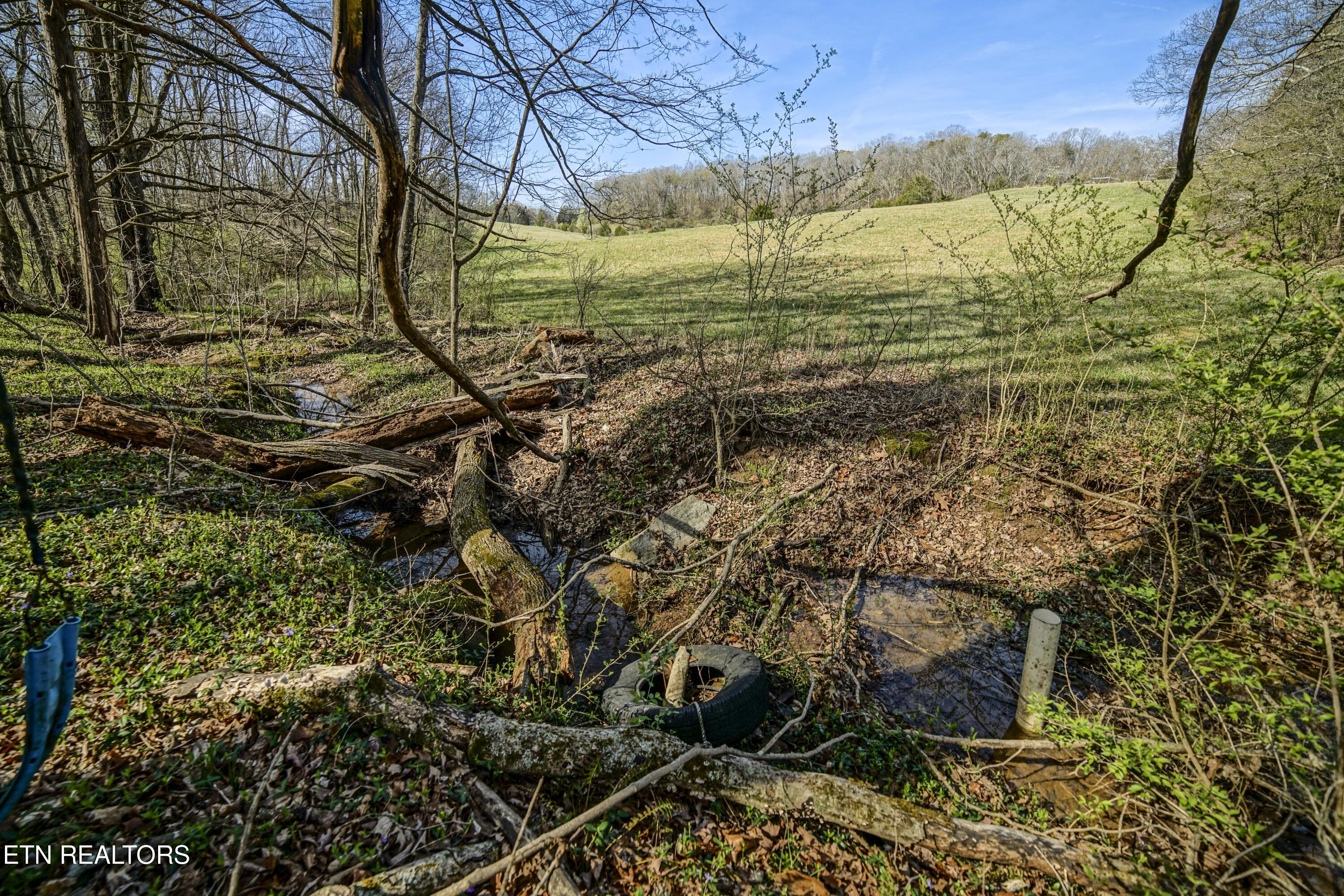 243 Black Oak Road Clinton, TN 37716 - Photo 39 of 49 HeatherFarm6915