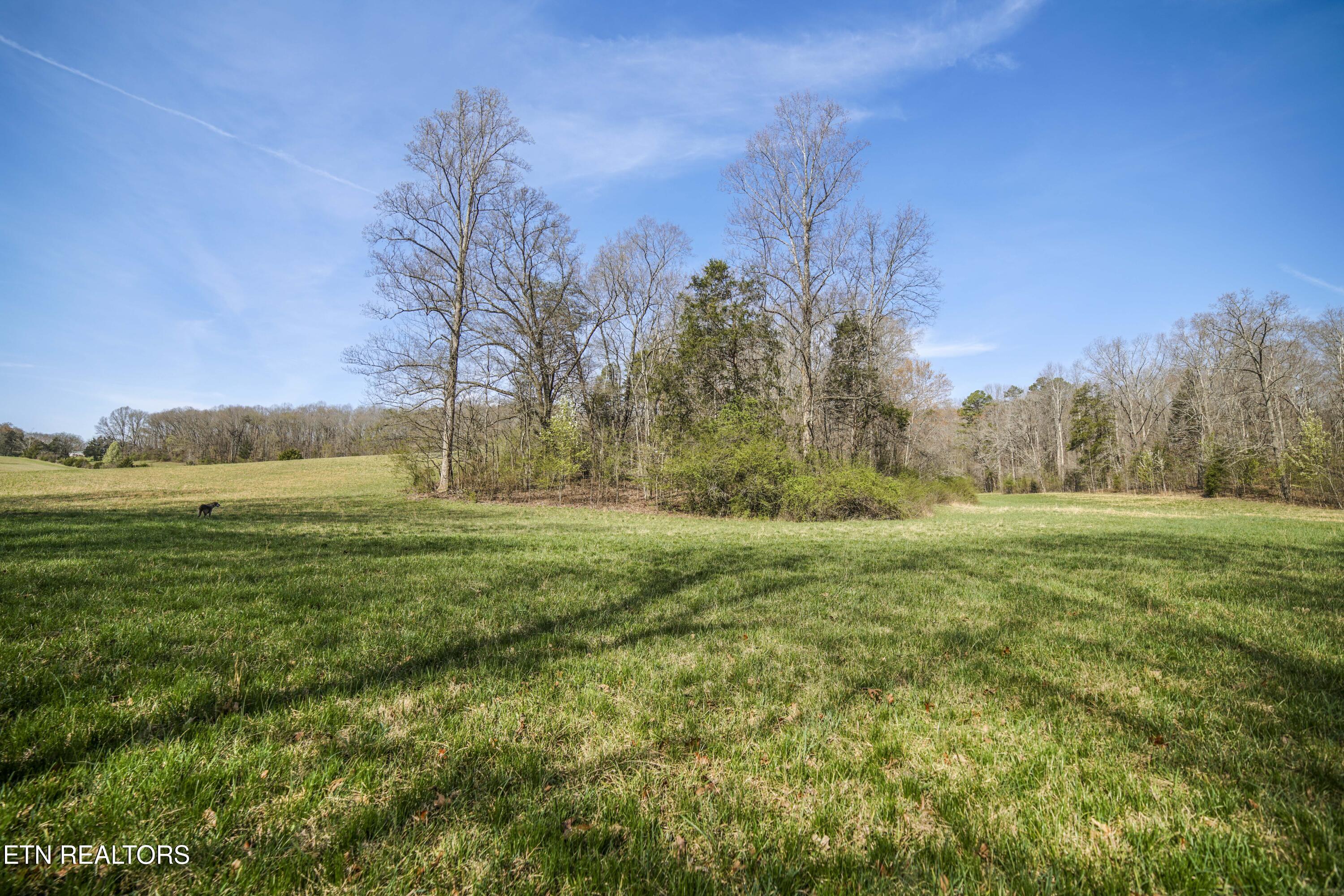 243 Black Oak Road Clinton, TN 37716 - Photo 40 of 49 HeatherFarm6918