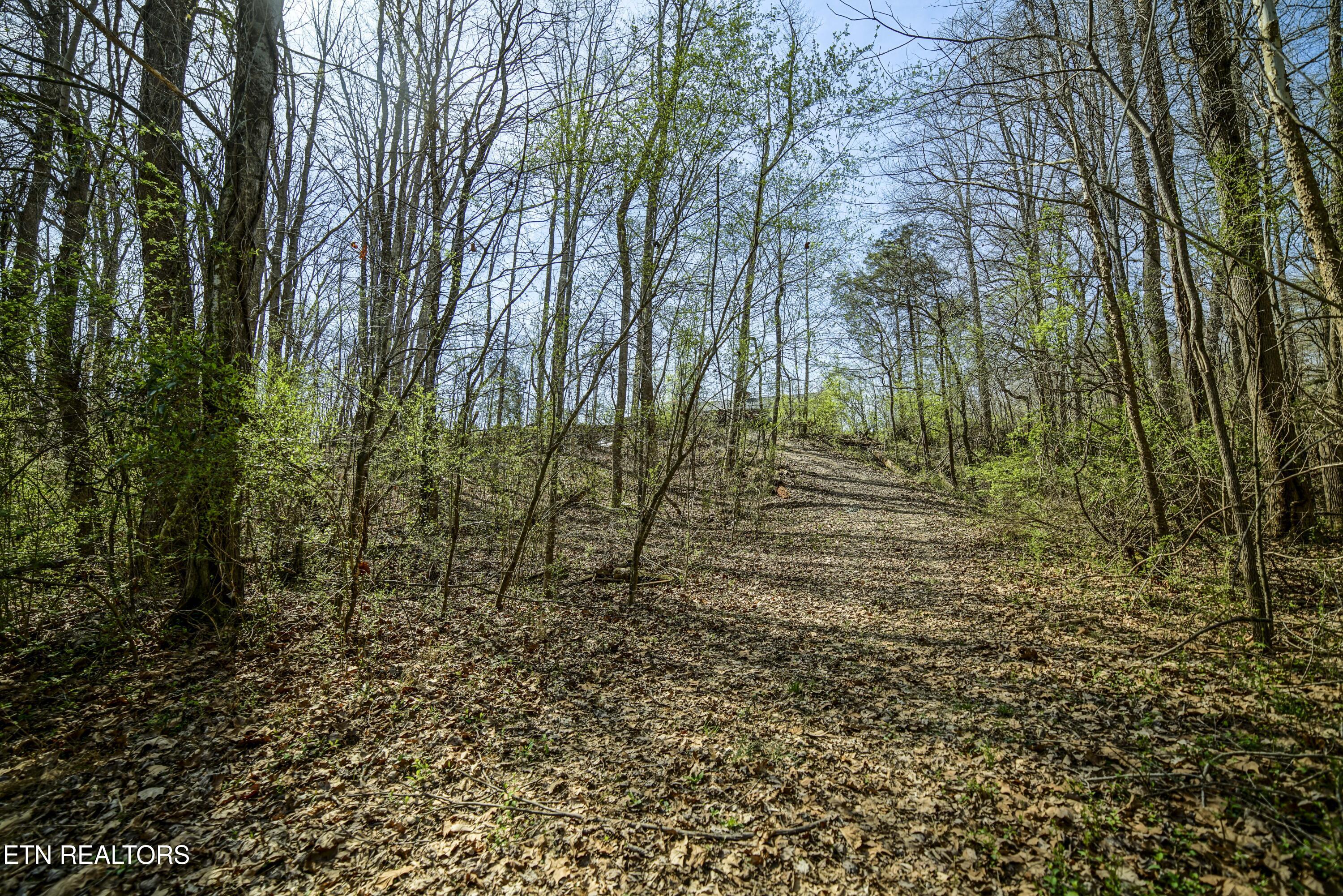 243 Black Oak Road Clinton, TN 37716 - Photo 42 of 49 HeatherFarm6925