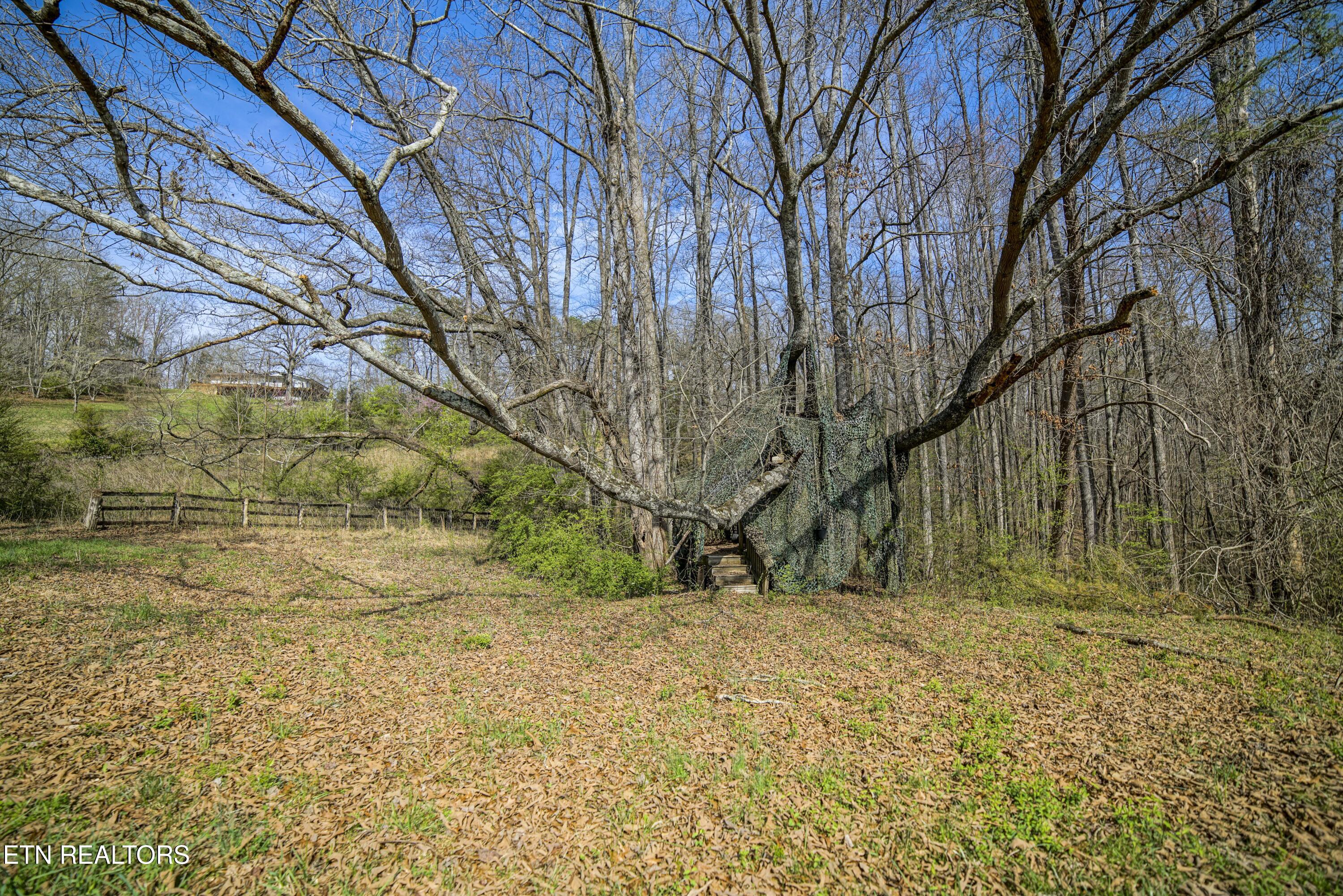 243 Black Oak Road Clinton, TN 37716 - Photo 43 of 49 HeatherFarm6930