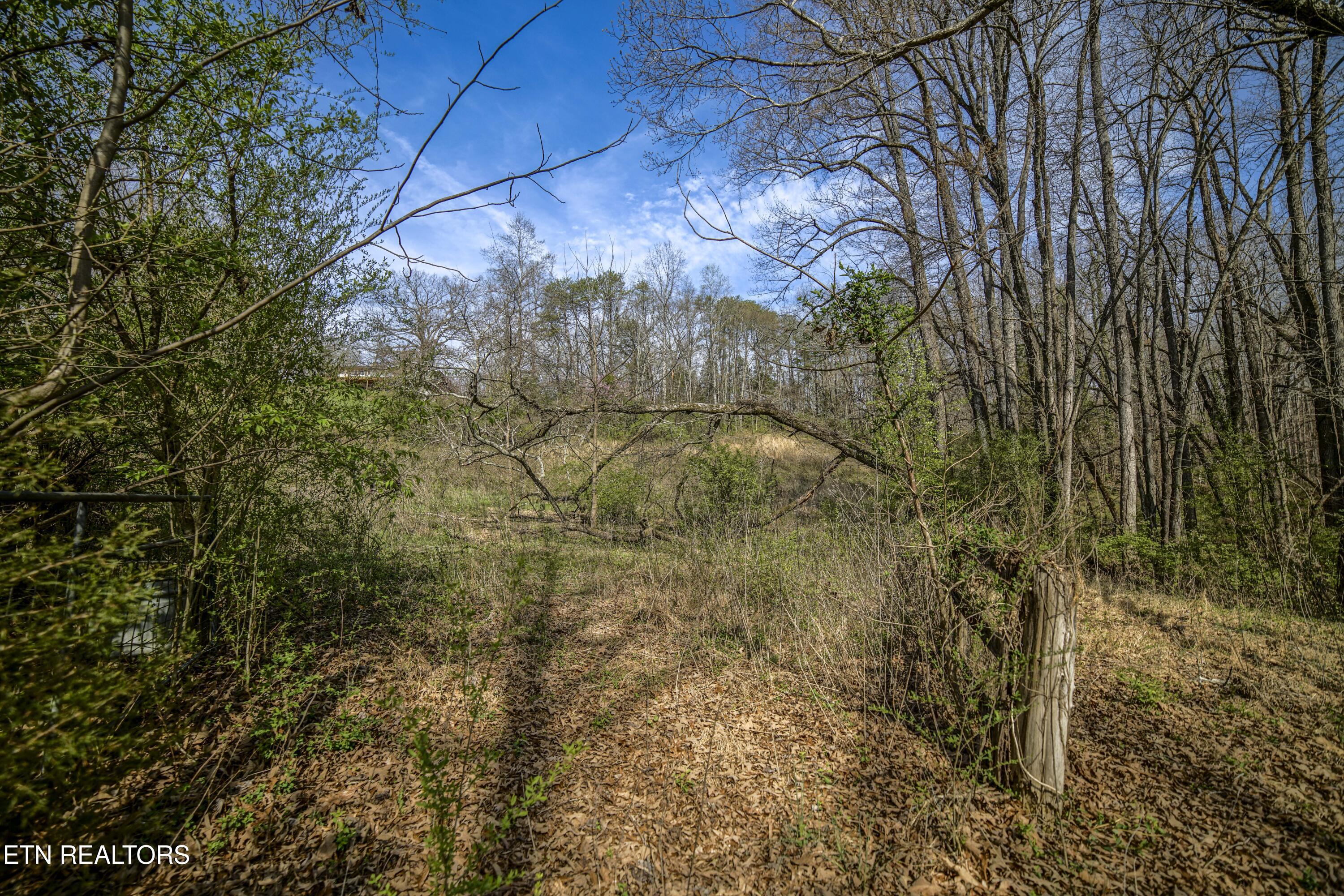 243 Black Oak Road Clinton, TN 37716 - Photo 44 of 49 HeatherFarm6932