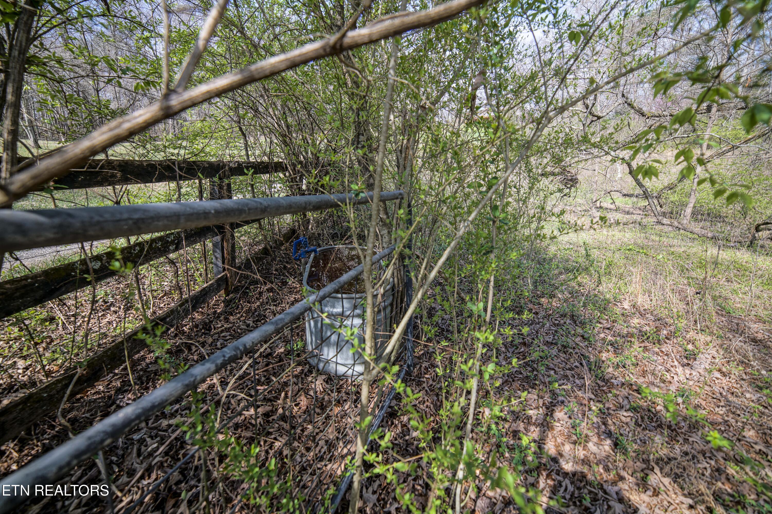 243 Black Oak Road Clinton, TN 37716 - Photo 45 of 49 HeatherFarm6933