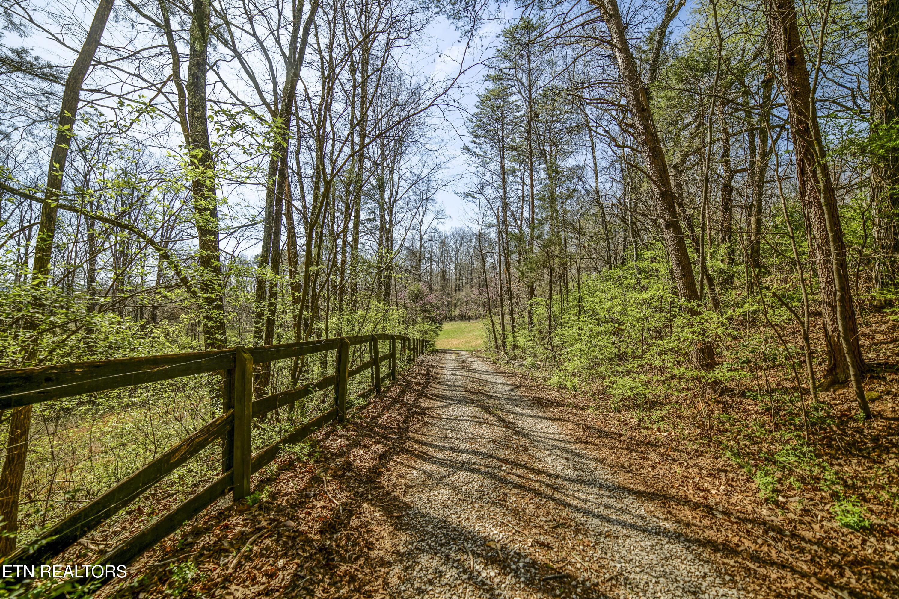 243 Black Oak Road Clinton, TN 37716 - Photo 46 of 49 HeatherFarm6935
