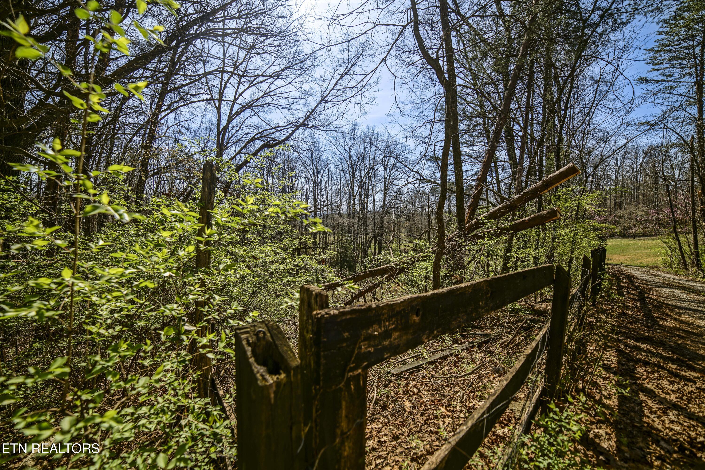 243 Black Oak Road Clinton, TN 37716 - Photo 48 of 49 HeatherFarm6936
