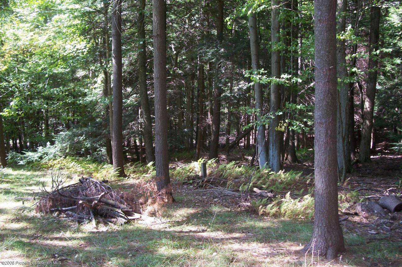 126 R2 EAST Lake Road New Milford, PA 18834 - Photo 11 of 12 Gallery Image 11