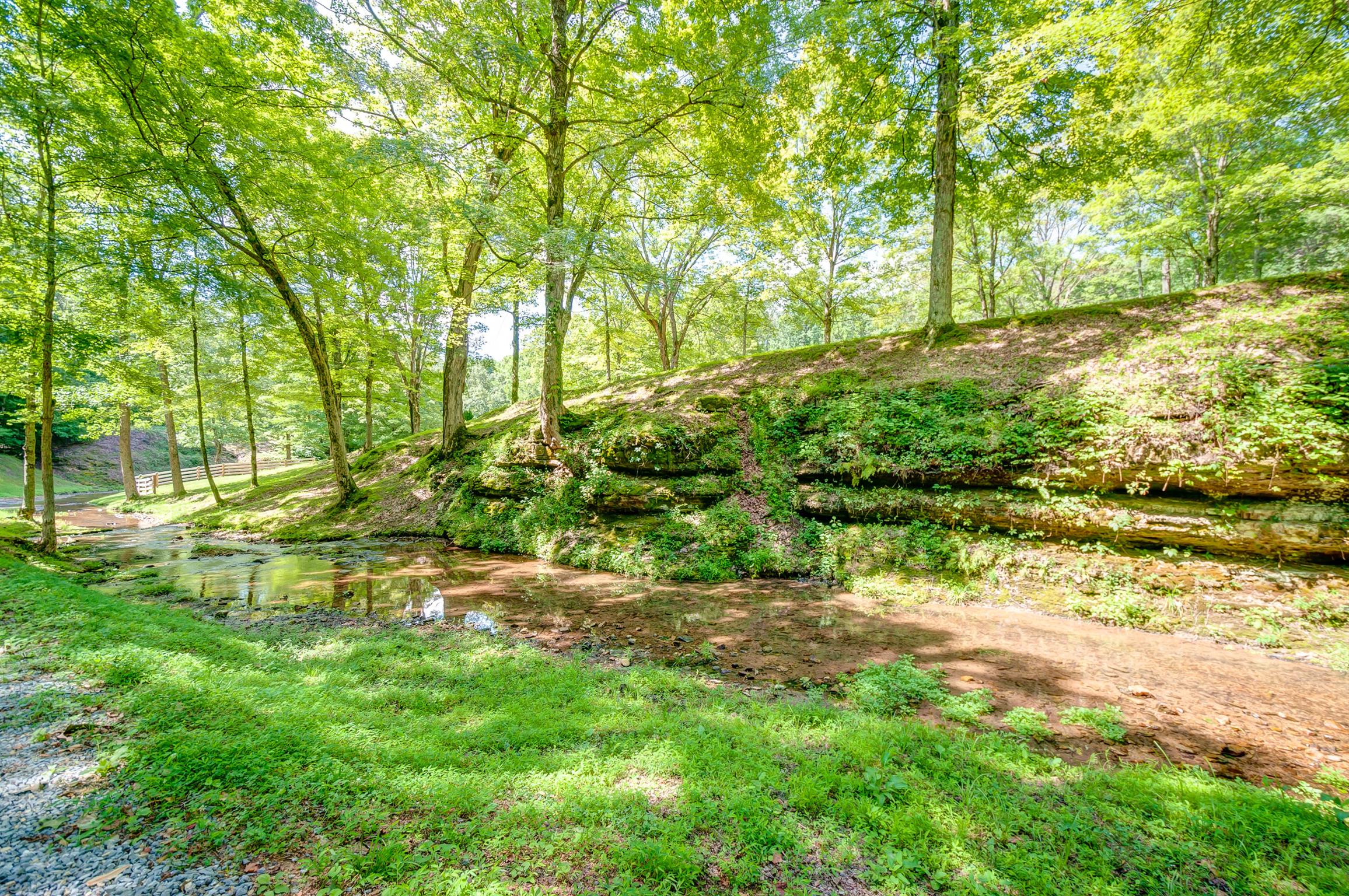 7248 Cavender Branch Road Lyles, TN 37098 - Photo 20 of 29 Gallery Image 20