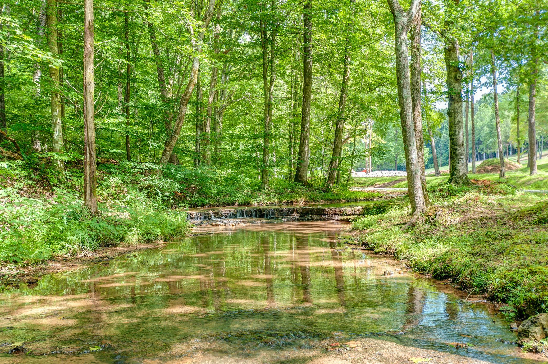 7248 Cavender Branch Road Lyles, TN 37098 - Photo 22 of 29 Gallery Image 22
