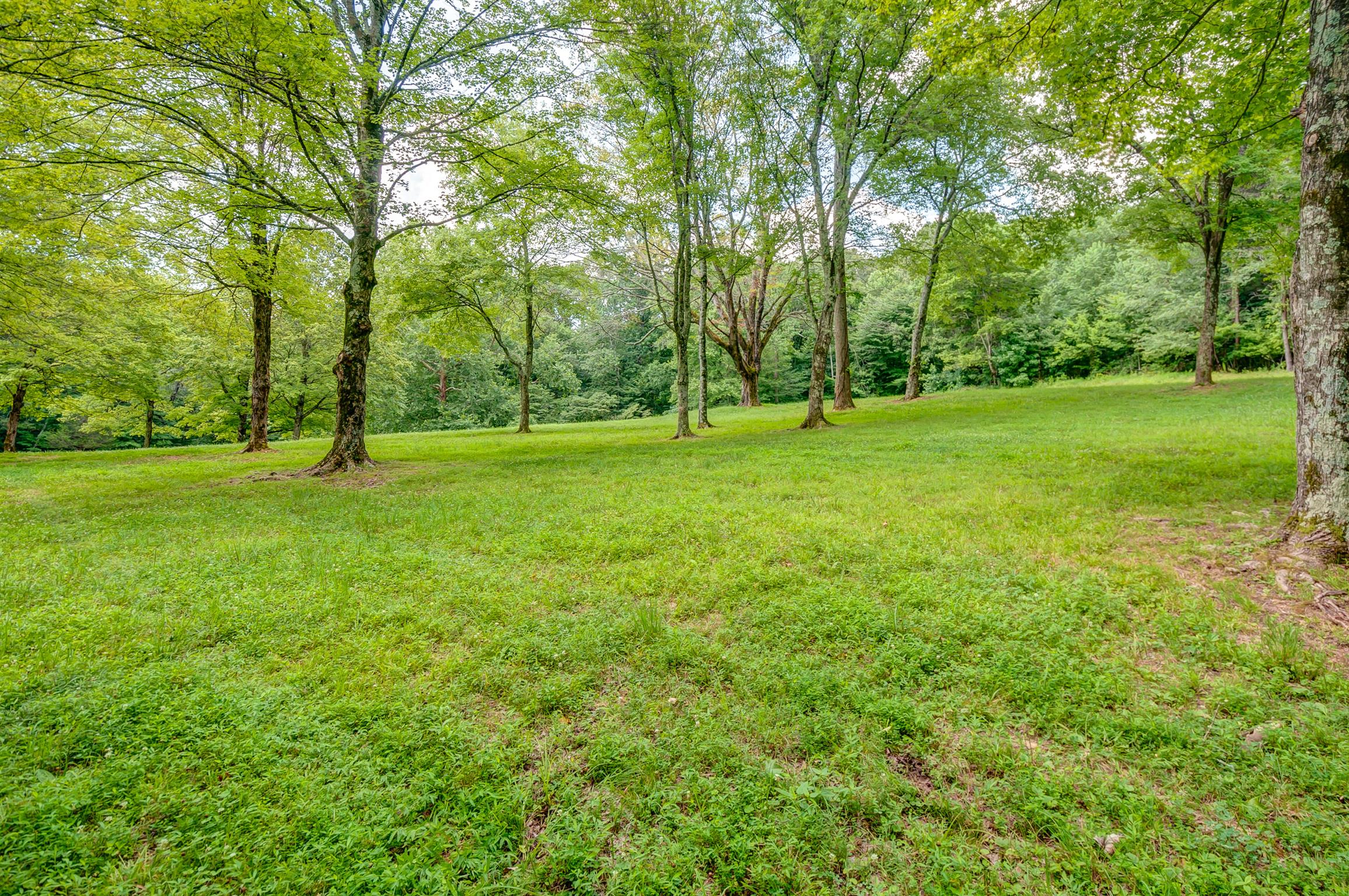 7248 Cavender Branch Road Lyles, TN 37098 - Photo 23 of 29 Gallery Image 23