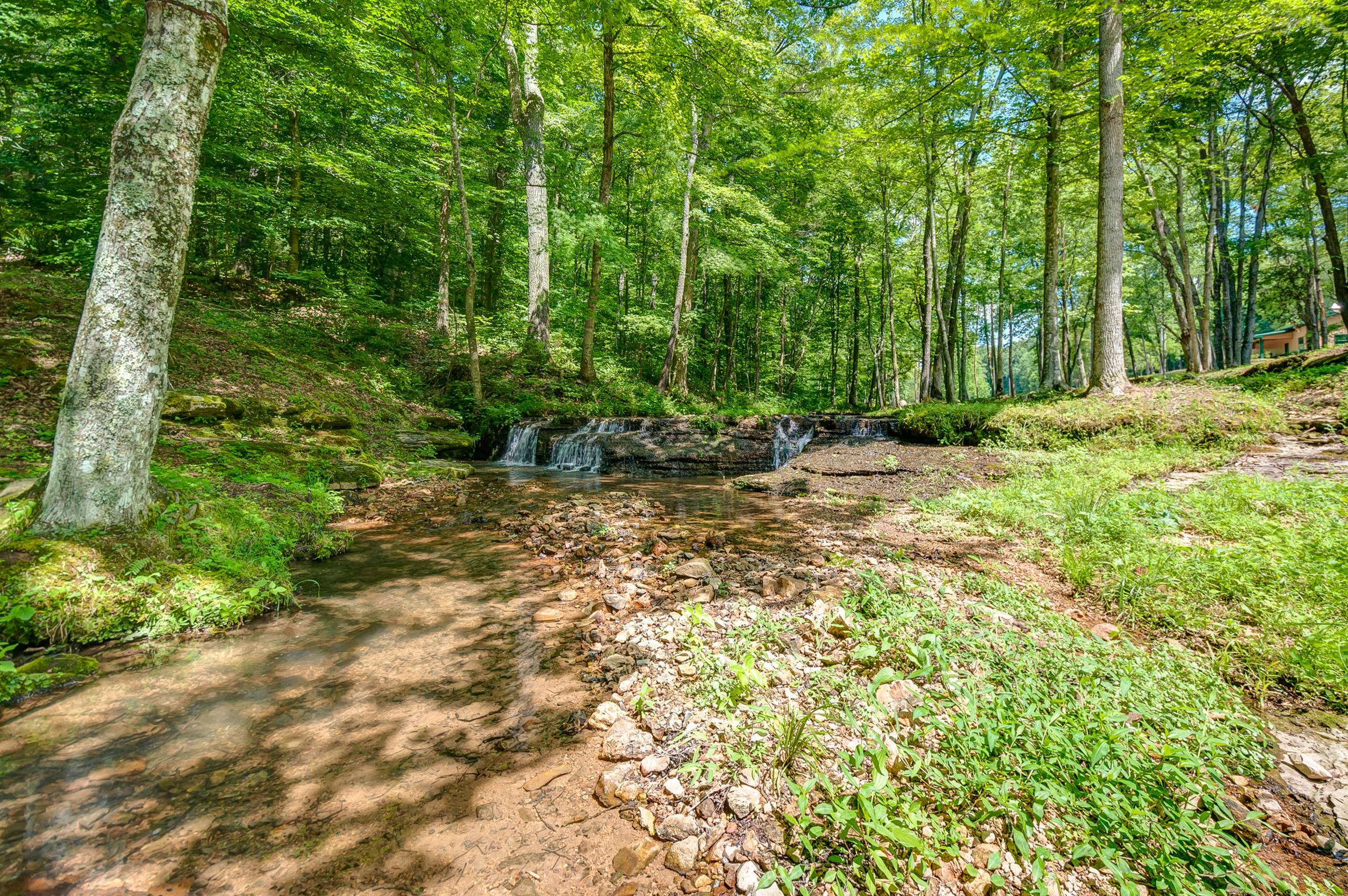 7248 Cavender Branch Road Lyles, TN 37098 - Photo 25 of 29 Gallery Image 25