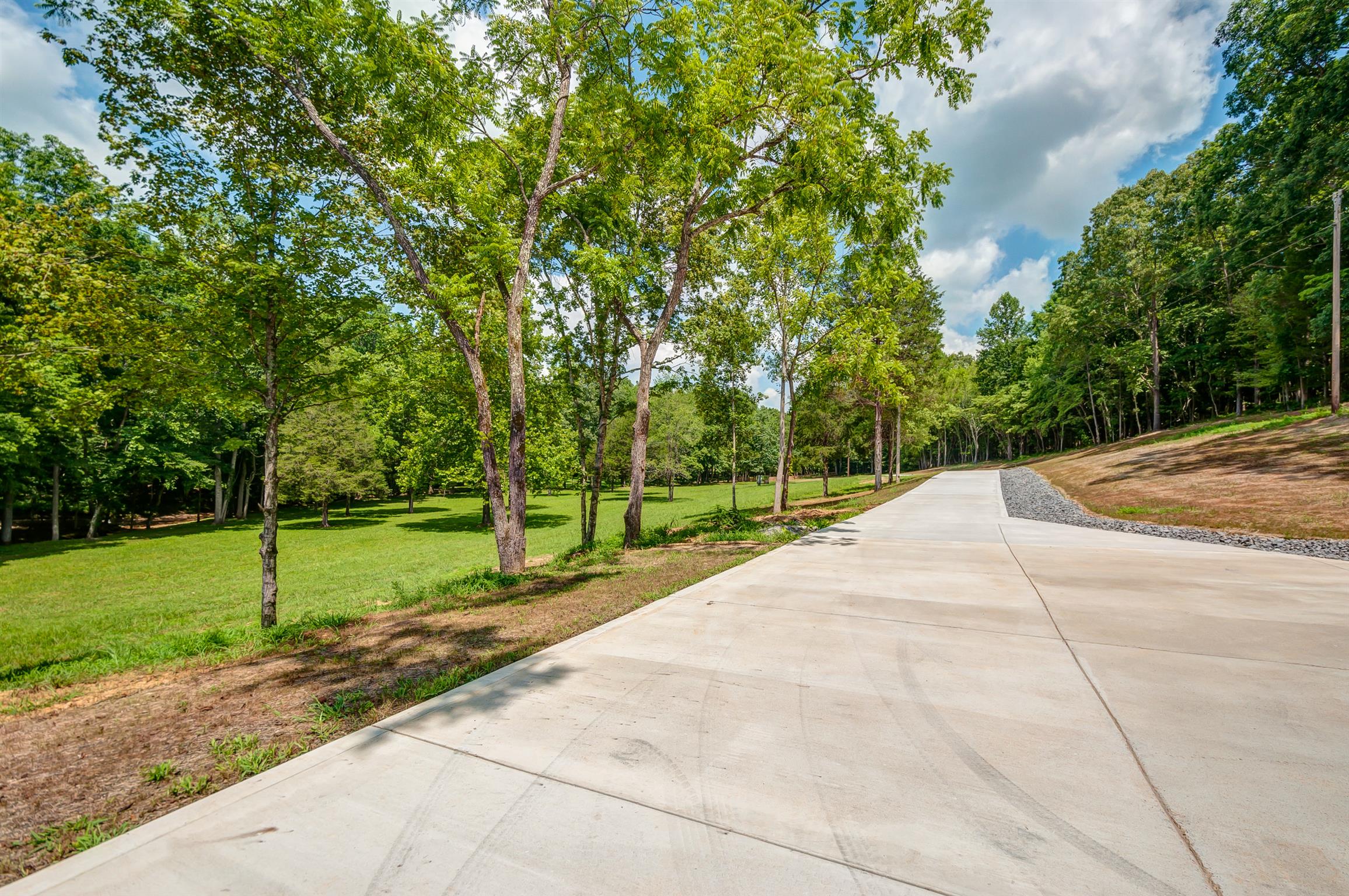 7248 Cavender Branch Road Lyles, TN 37098 - Photo 9 of 29 Gallery Image 9