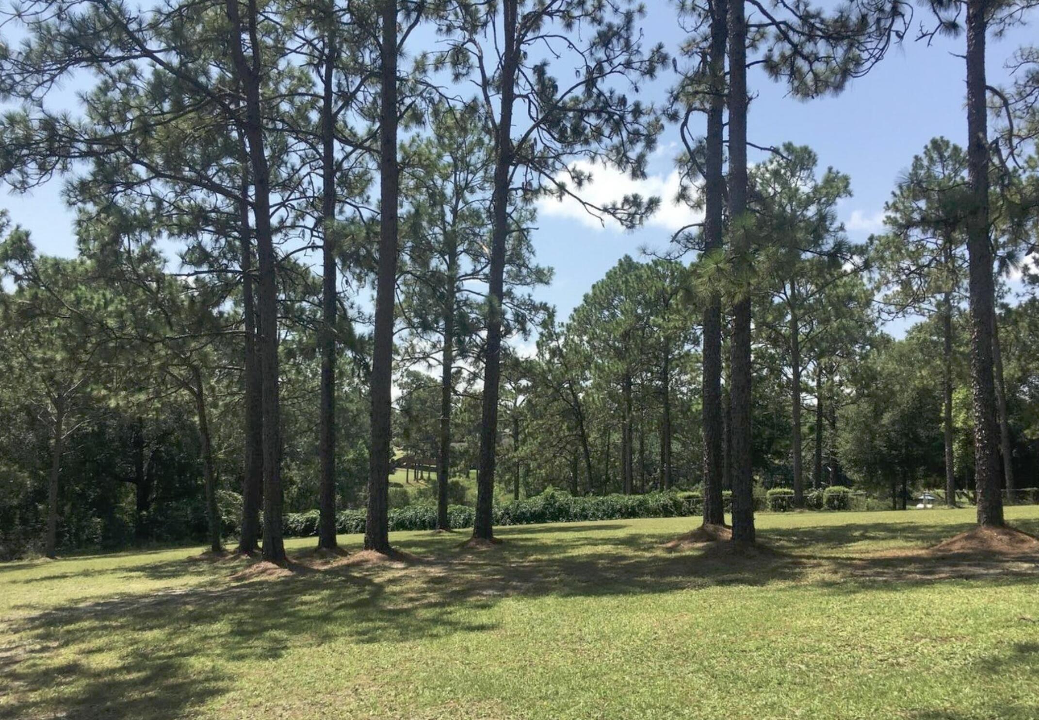 1-ac Ridge Lake Road Crestview, FL 32536 - Photo 1 of 4 a view of a sink in the middle of a yard
