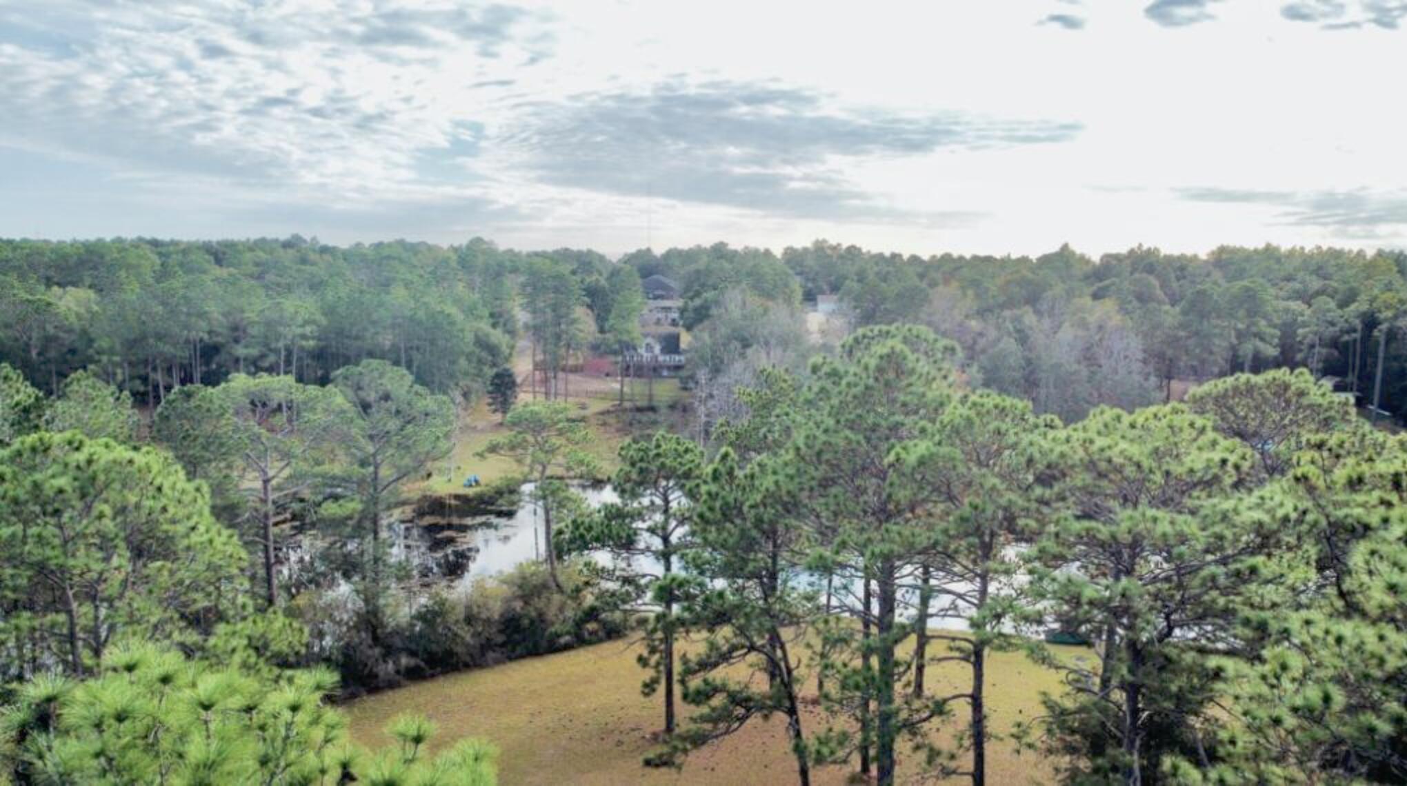 1-ac Ridge Lake Road Crestview, FL 32536 - Photo 2 of 4 a view of a city with lush green forest