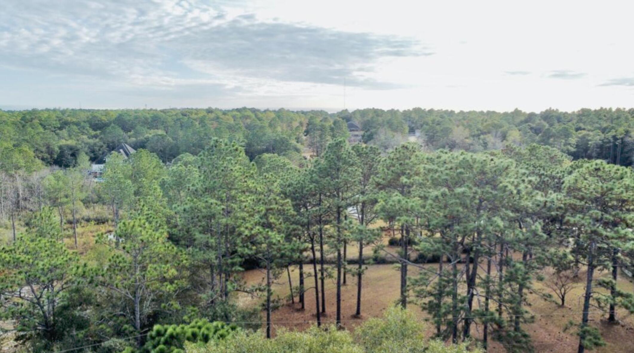1-ac Ridge Lake Road Crestview, FL 32536 - Photo 4 of 4 a view of a city with lush green forest