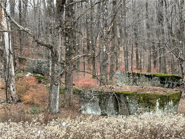 $320,000 | Upper Punchbowl Road, Roscoe, NY 12776