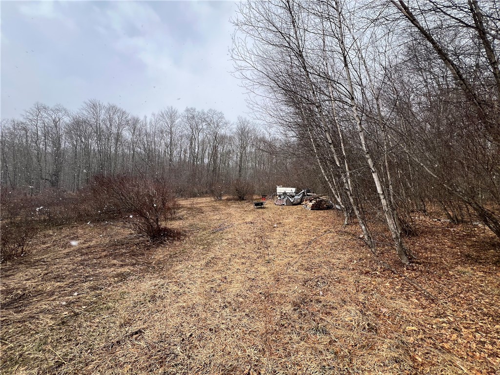 Upper Punchbowl Road Roscoe, NY 12776 - Photo 11 of 41