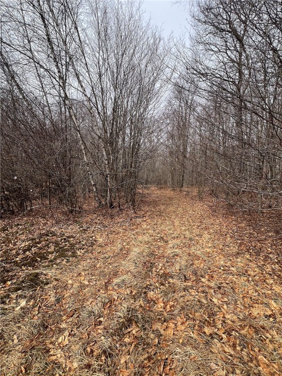 Upper Punchbowl Road Roscoe, NY 12776 - Photo 13 of 41