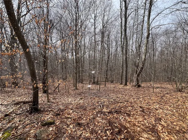 $320,000 | Upper Punchbowl Road, Roscoe, NY 12776