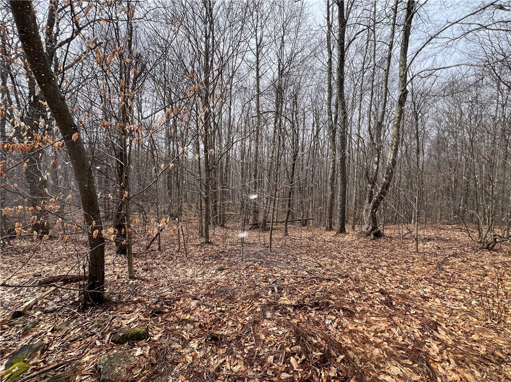 Upper Punchbowl Road Roscoe, NY 12776 - Photo 16 of 41