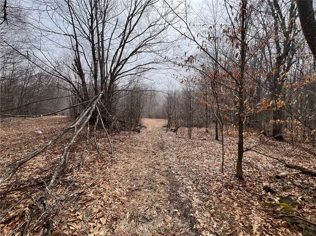 $320,000 | Upper Punchbowl Road, Roscoe, NY 12776