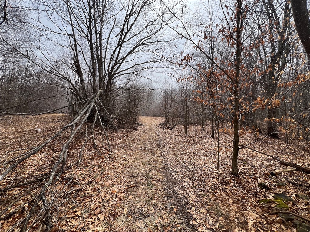 Upper Punchbowl Road Roscoe, NY 12776 - Photo 17 of 41