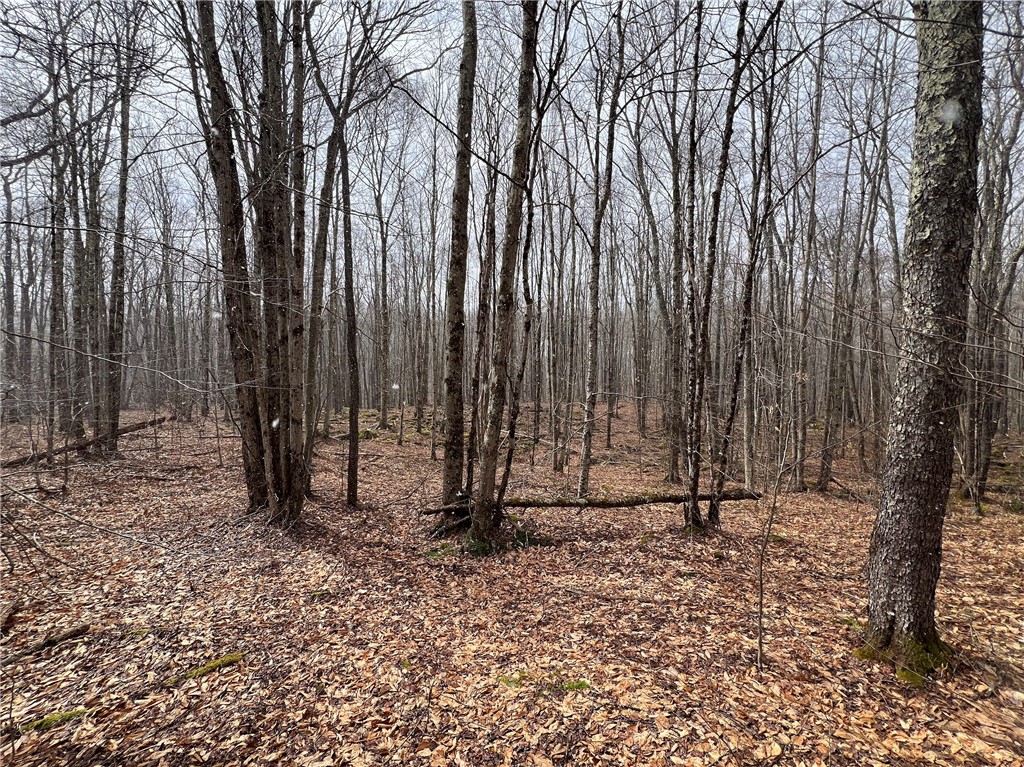 Upper Punchbowl Road Roscoe, NY 12776 - Photo 18 of 41