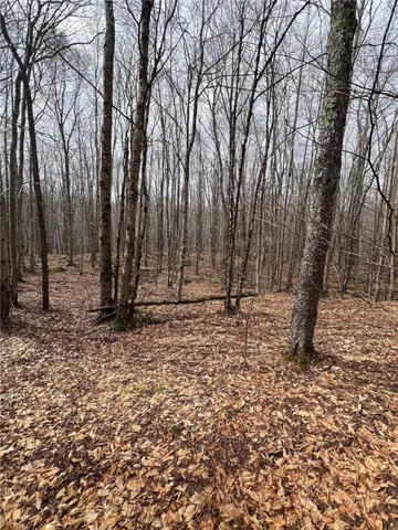 $320,000 | Upper Punchbowl Road, Roscoe, NY 12776