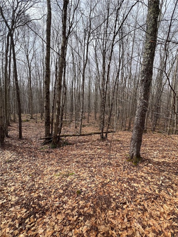 Upper Punchbowl Road Roscoe, NY 12776 - Photo 19 of 41