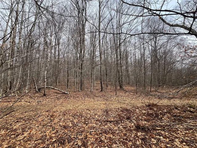 $320,000 | Upper Punchbowl Road, Roscoe, NY 12776