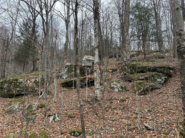 $320,000 | Upper Punchbowl Road, Roscoe, NY 12776