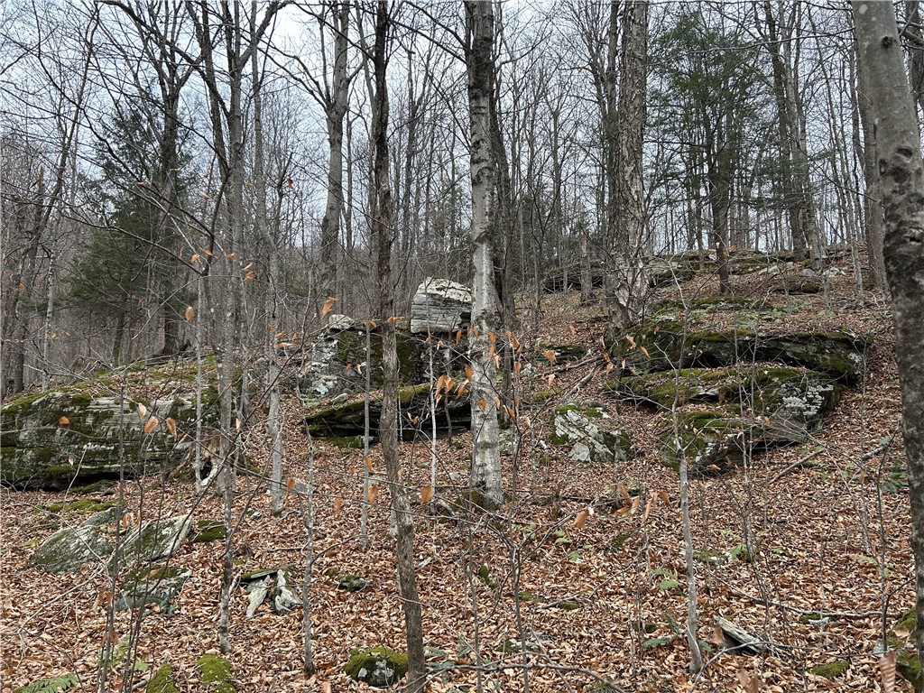 Upper Punchbowl Road Roscoe, NY 12776 - Photo 2 of 41