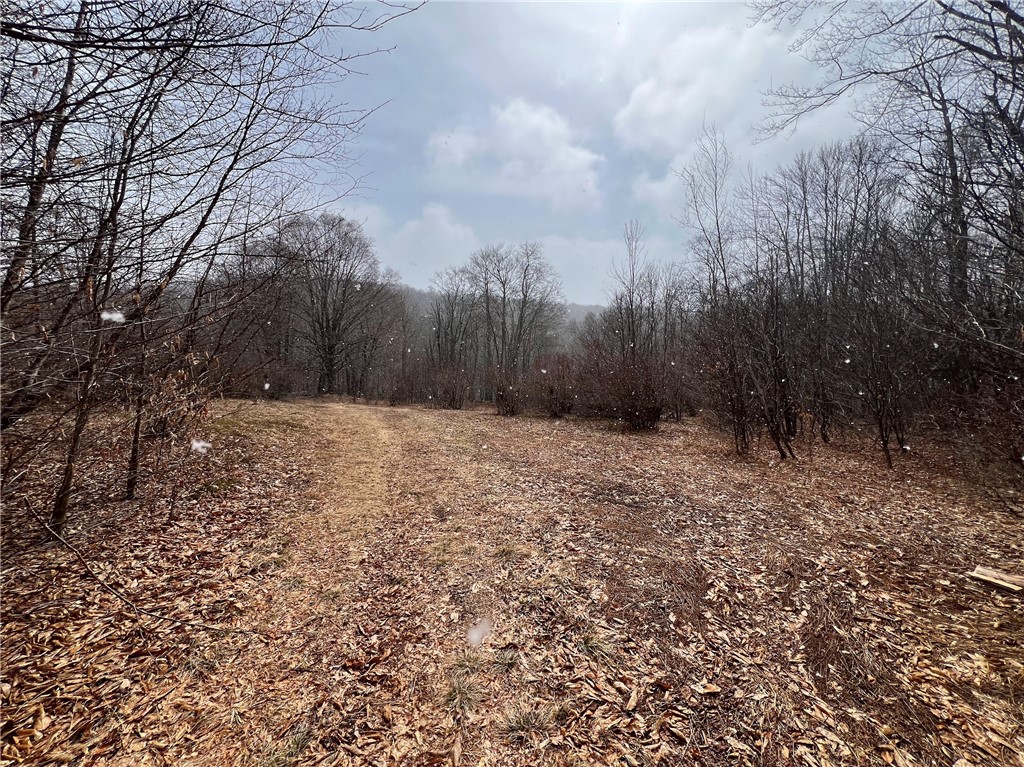 Upper Punchbowl Road Roscoe, NY 12776 - Photo 21 of 41