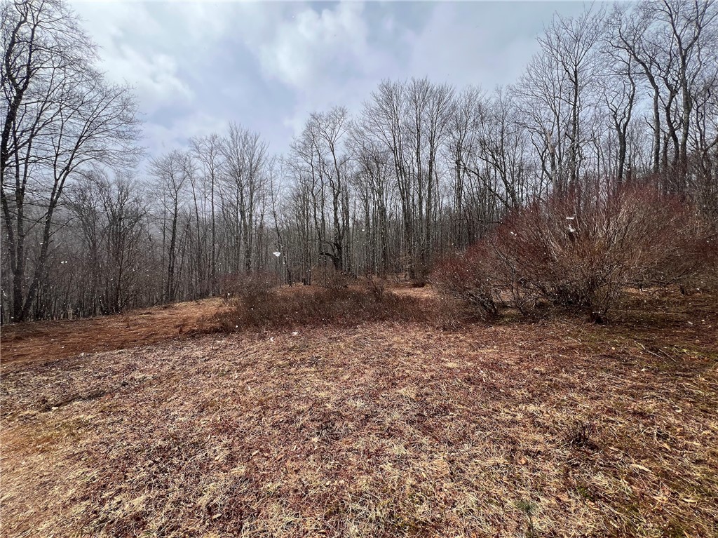 Upper Punchbowl Road Roscoe, NY 12776 - Photo 23 of 41