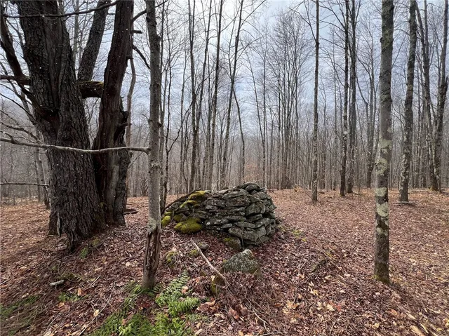 $320,000 | Upper Punchbowl Road, Roscoe, NY 12776