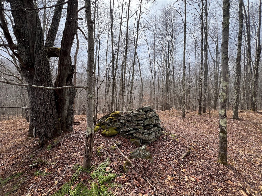 Upper Punchbowl Road Roscoe, NY 12776 - Photo 25 of 41