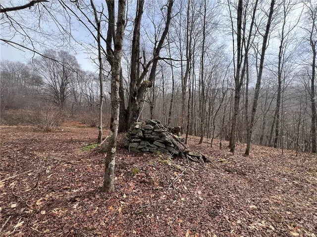 $320,000 | Upper Punchbowl Road, Roscoe, NY 12776